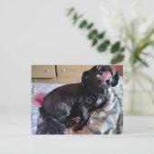 Flicker der Zunge Postkarte (Stehend Vorderseite)