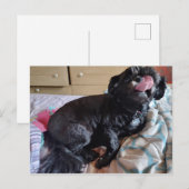 Flicker der Zunge Postkarte (Vorne/Hinten)