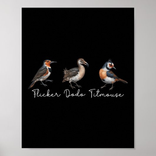 Flicker Dodo Titmouse Funny Bird Clever Birdwatche Poster (Vorne)