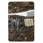 Flicker im Vogelzuführungsmagnet Magnet (Vertikal)