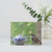 Flicker und Teapot Postkarte (Stehend Vorderseite)