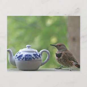 Flicker und Teapot Postkarte