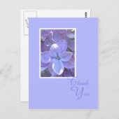 Flieder-Beileid oder Tod danken Ihnen Postkarte (Vorne/Hinten)