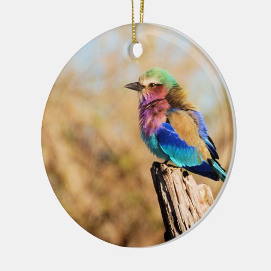 Flieder-Breasted Rollen-bunter afrikanischer Vogel Keramik Ornament (Links)