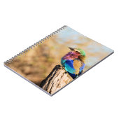 Flieder-Breasted Rollen-bunter afrikanischer Vogel Notizblock (Linke Seite)