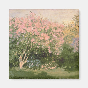 Flieder Claude Monets   im Sun, 1873 Magnet