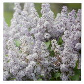 Flieder Fliese (Vorderseite)