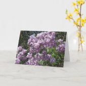 Flieder-Geburtstags-Karte Karte (Gelbe Blume)