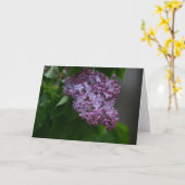 Flieder Karte (Gelbe Blume)
