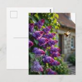 Flieder-Symbolik Postkarte (Vorne/Hinten)