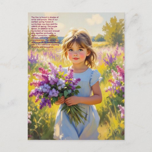 Flieder-Symbolik Postkarte (Vorderseite)