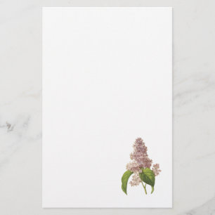 Flieder (Syringa-SP.) durch Redouté Briefpapier