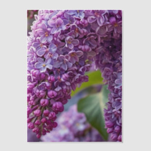 Flieder-Vellum-Overlay Pergament Einladungen