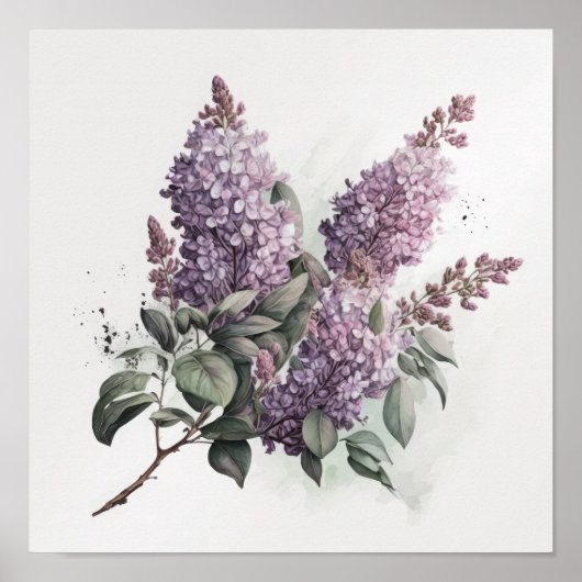 Fliederblumen-Kunstposter Poster (Vorne)