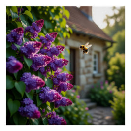 Fliederblüte Poster