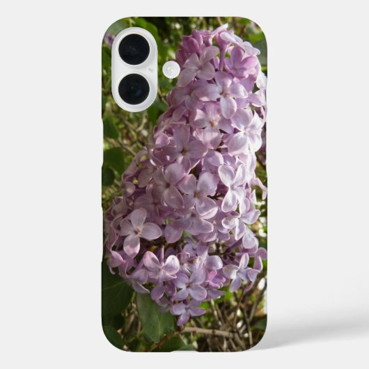 Fliederblütencluster Frühlingsblumen Case-Mate iPhone Hülle (Rückseite)
