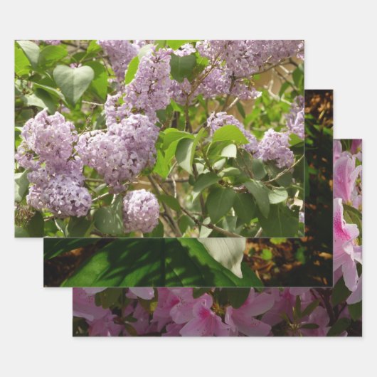 Fliederbusch schöne lila Frühlingsblumen Geschenkpapier Set (Set)