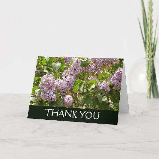 Fliederbusch schöne violette Frühlingsblumen Dankeskarte (Vorderseite)