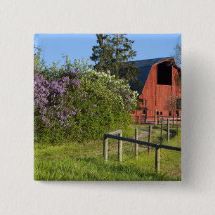 Fliederbüsche in Blüte und Elstern in den Bäumen Button