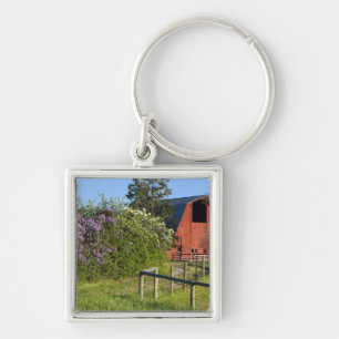 Fliederbüsche in Blüte und Elstern in den Bäumen Schlüsselanhänger