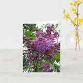 "Fliedern chez moi " Karte (Gelbe Blume)