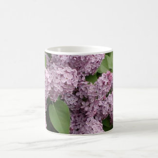 Fliedern Kaffeetasse