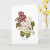 Fliedern Karte (Gelbe Blume)