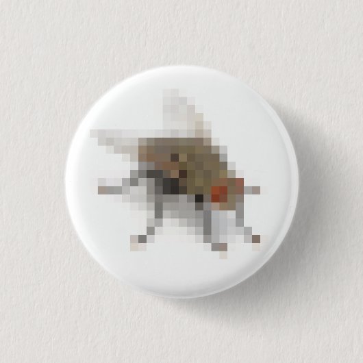 Fliege. Button (Vorderseite)