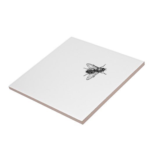 Fliege Fliese (Seite)