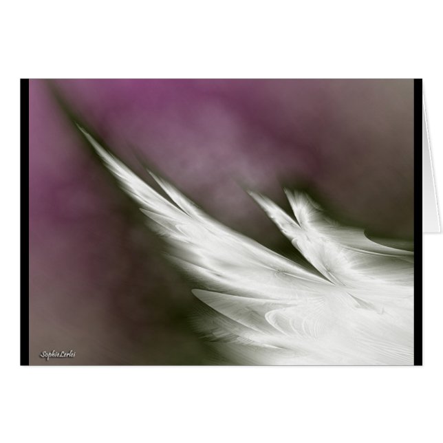 Fliege für Frieden! (Vorderseite (Horizontal))