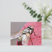 Fliege Insekt Postkarte (Stehend Vorderseite)
