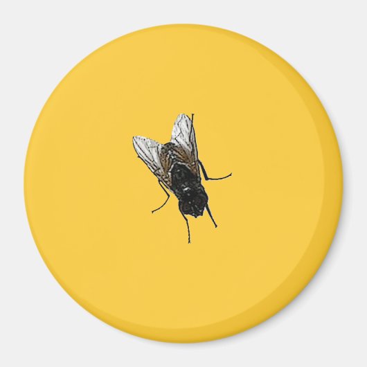 Fliege Magnet (Vorne)