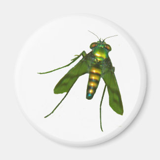 Fliege Magnet
