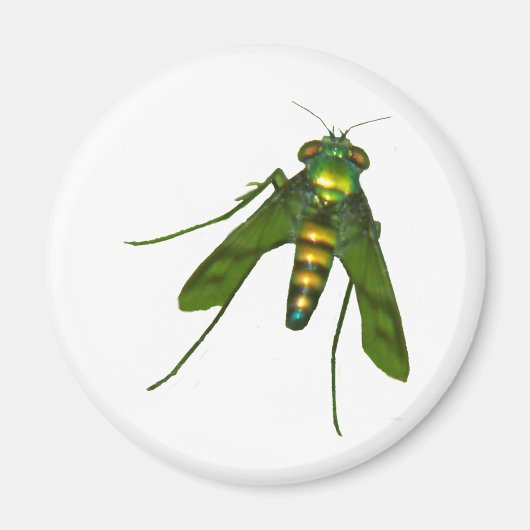 Fliege Magnet (Vorne)