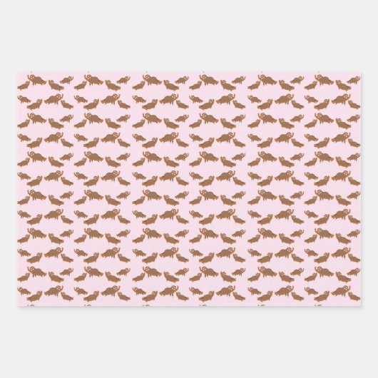 Fliege mit Nickerchen Geschenkpapier Set (Vorderseite 2)