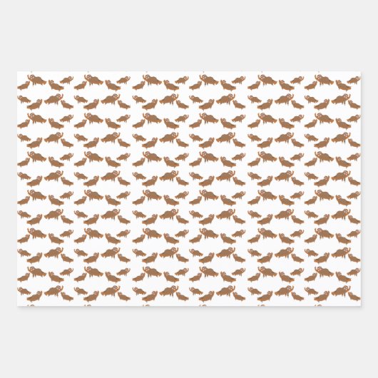 Fliege mit Nickerchen Geschenkpapier Set (Vorderseite)