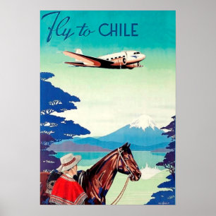 Fliege nach Chile, Mann mit Pferd, Vintage-Flugges Poster