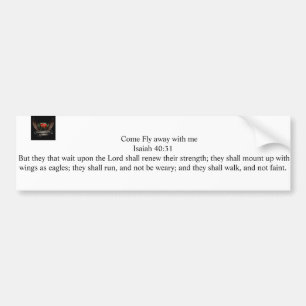 Fliege wegccp-Autoaufkleber Autoaufkleber