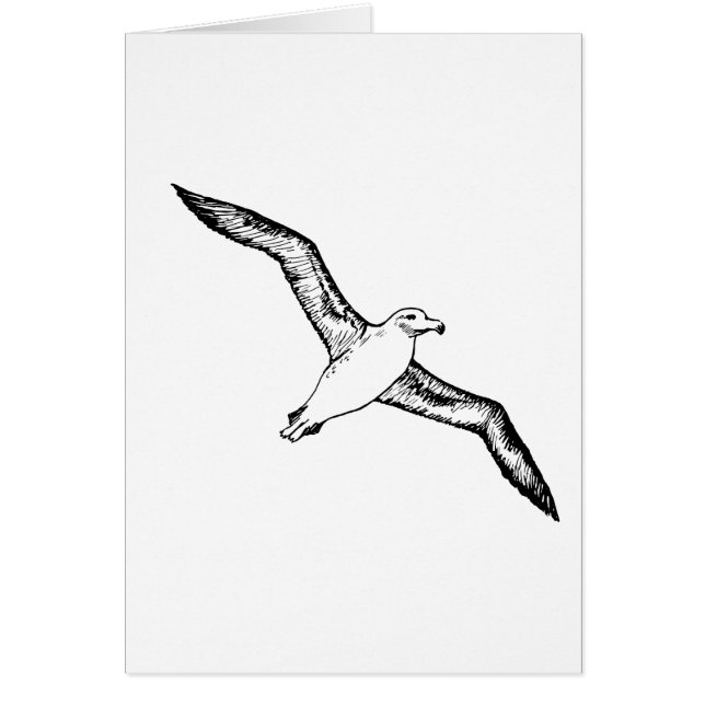 Fliegen-Albatros-Illustration (Vorne)