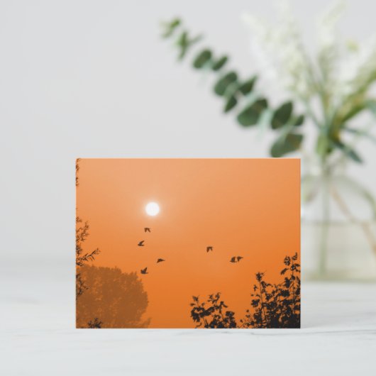 Fliegen am Morgen Postkarte (Stehend Vorderseite)