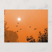 Fliegen am Morgen Postkarte (Vorderseite)