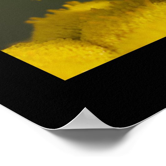 Fliegen auf Blume Poster (Ecke)