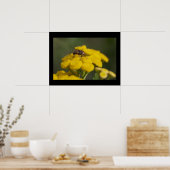 Fliegen auf Blume Poster (Küche)