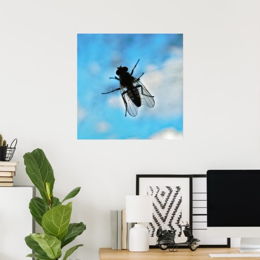 Fliegen auf Glas Poster (Heimbüro)