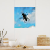 Fliegen auf Glas Poster (Küche)