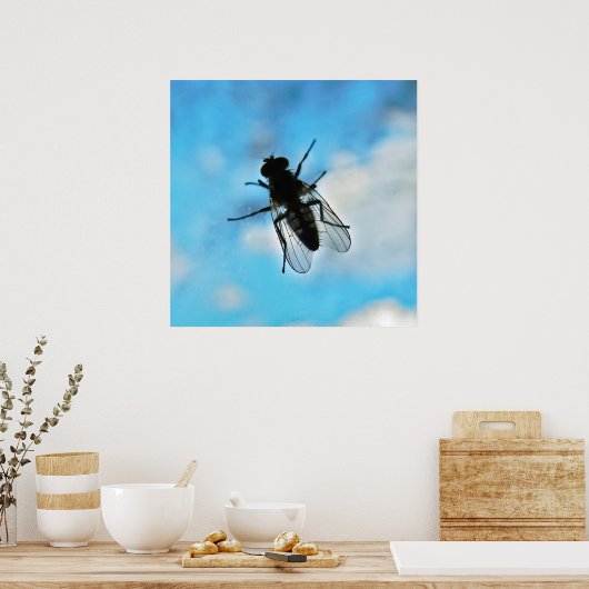 Fliegen auf Glas Poster (Küche)
