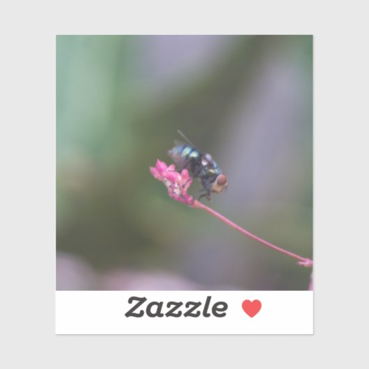 Fliegen auf Rosa Aufkleber (Blatt)