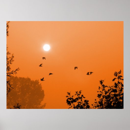 Fliegen bei Morgendämmerung Poster (Vorne)