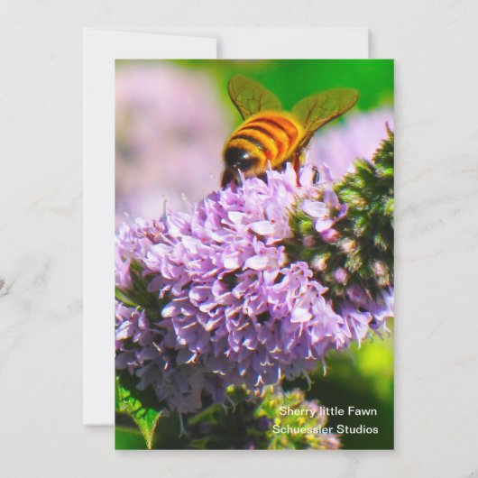 Fliegen-Bienen-12x18 Ausdruck-/Gruß-Karte Dankeskarte (Rückseite)