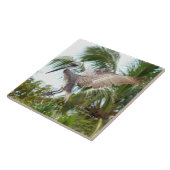 Fliegen-Brown-Pelikan-Landungs-Fliese Fliese (Seite)